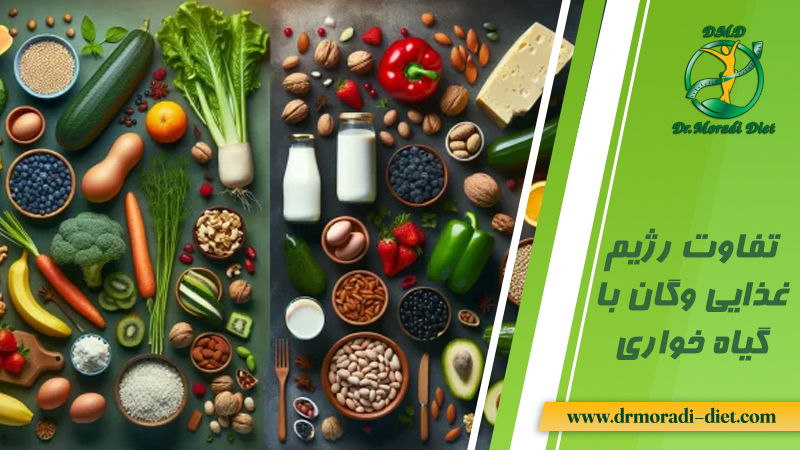 تفاوت رژیم وگان با گیاه خواری از نظر متخصص تغذیه