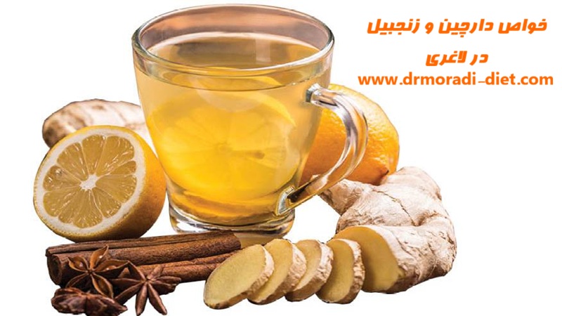 خواص دارچین و زنجبیل از نظر متخصص تغذیه در لاغری