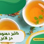 تاثیر دمنوش ها بر لاغری و معرفی چند نمونه تاثیر گذار از نظر متخصص تغذیه