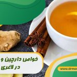 خواص دارچین و زنجبیل برای لاغری و کاهش وزن