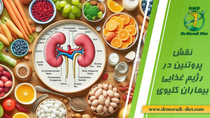 نقش پروتئین در رژیم بیماران کلیوی بامشورت دکتر مرادی بهترین متخصص تغذیه
