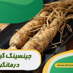 جینسینگ گیاهی درمانگر با مشورت متخصص تغذیه