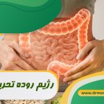 رژیم روده تحریک‌ پذیر تحت نظر بهترین متخصص تغذیه