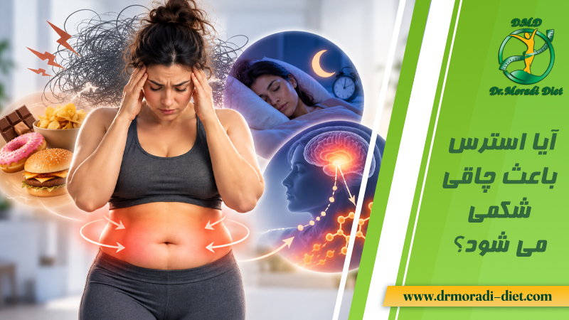 آیا استرس باعث چاقی شکمی می شود؟ زیر نظر متخصص تغذیه