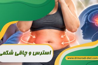 استرس و چاقی شکمی تحت نظر بهترین متخصص تغذیه
