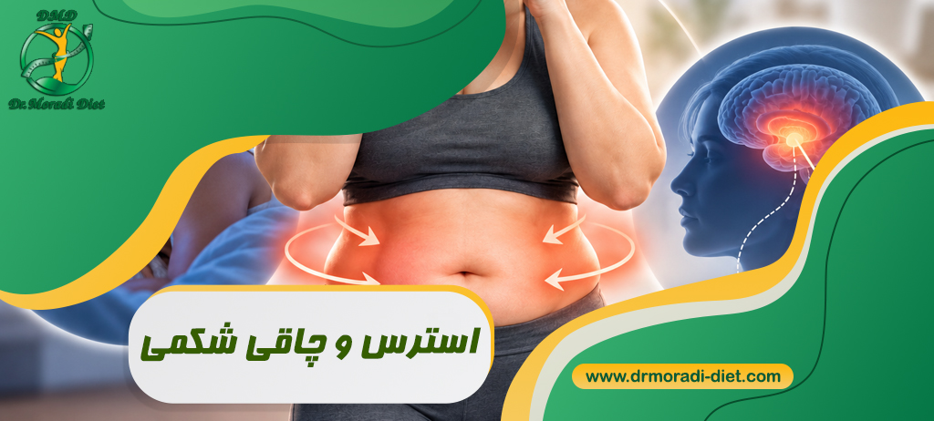استرس و چاقی شکمی تحت نظر بهترین متخصص تغذیه