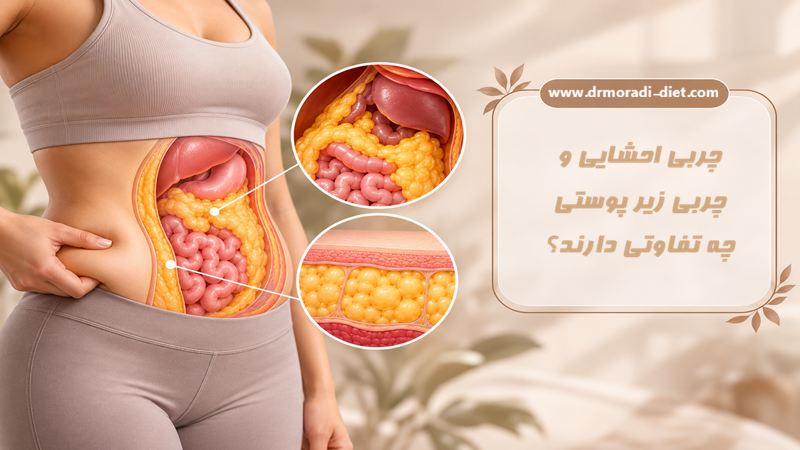 چربی احشایی و چربی زیر پوستی چه تفاوتی دارند؟ با مشورت دکتر تغذیه