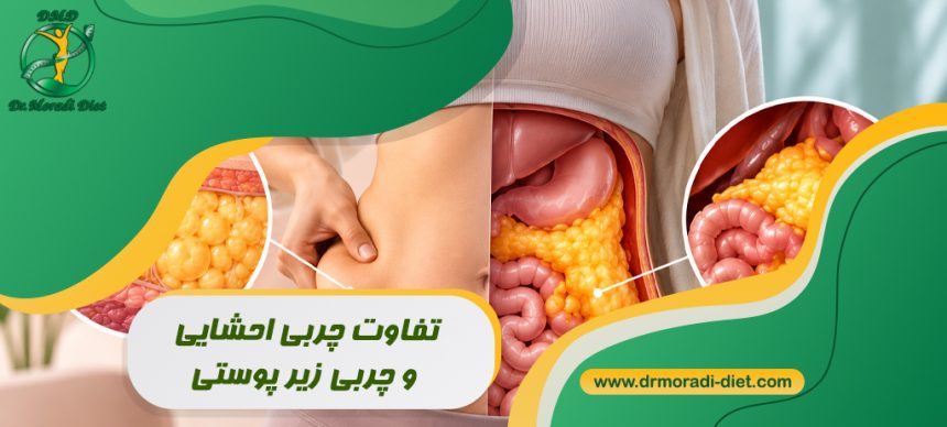 تفاوت چربی احشایی و چربی زیر پوستی با مشورت متخصص تغذیه